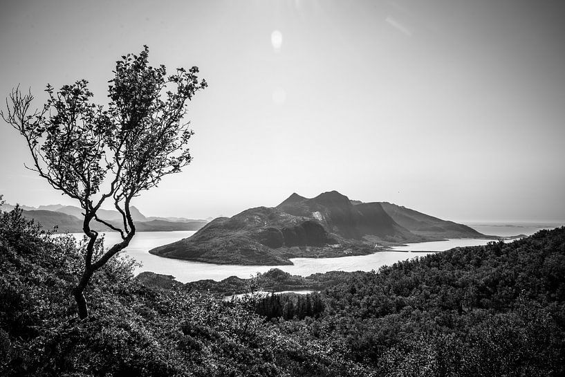 Black and white Norway by Ellis Peeters