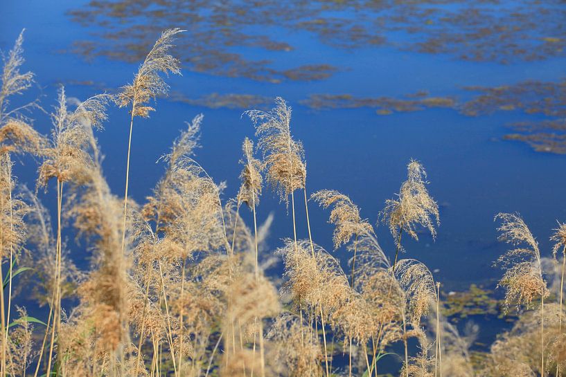 Am See von Thomas Jäger
