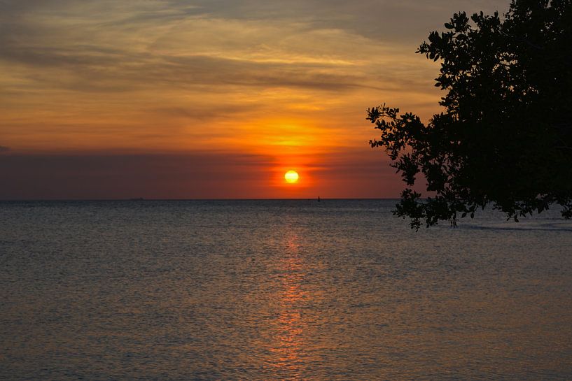 Sunset by Ron Steens