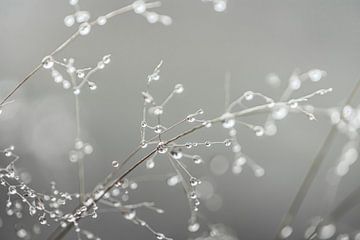 Artistic raindrops by Maaike Lueb