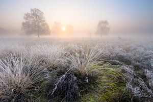 Wintermorgen von Joep de Groot