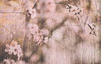 Dreamy springtime. Creatieve foto van dromerige bloesem en takken van Birgitte Bergman thumbnail