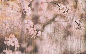 Dreamy springtime. Creative photo of dreamy blossom and branches