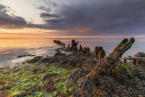 Ancien brise-lames couvert d'algues sur la mer des Wadden sous des nuages menaçants