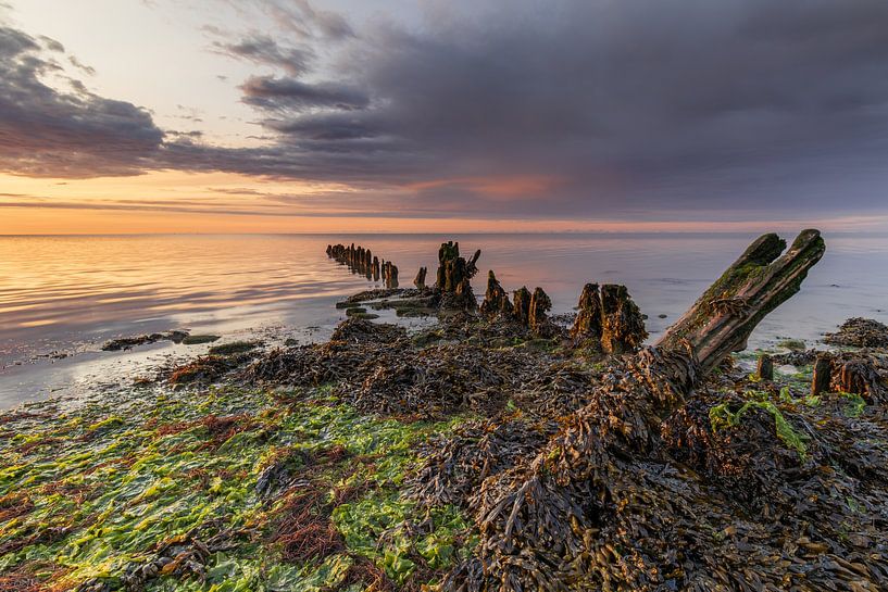 Ancien brise-lames couvert d'algues sur la mer des Wadden sous des nuages menaçants par Bram Lubbers