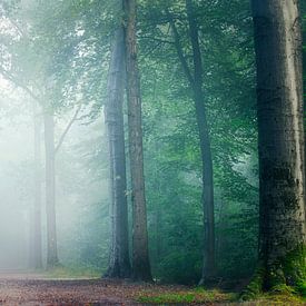 Blue forest van Danielle de Graaf