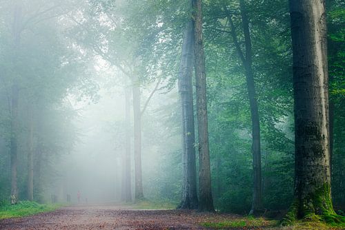 Blue forest van Danielle de Graaf