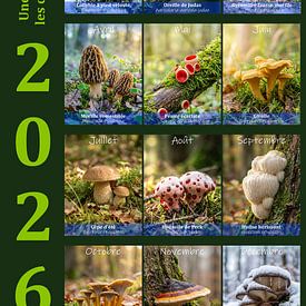 Calendar Mushrooms 2026 French version by Max Steinwald