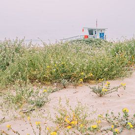 Maison de plage des sauveteurs à Malibu sur Patrycja Polechonska