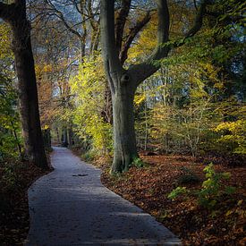 Bike path in autumn by peterheinspictures