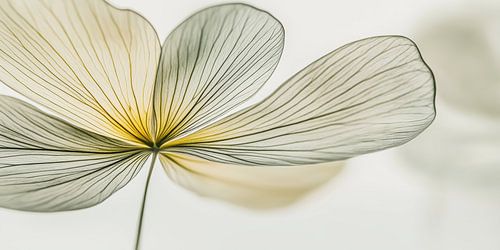 Bloem in donkergroen