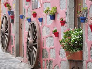 Stimmungsbild einer rosa Wand mit bunten Pflanzen und Wagenrädern aus Holz