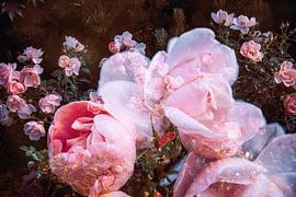 Rosenblüten im Märchenland von Nicc Koch