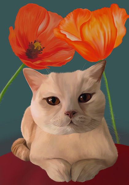 British shorthair between poppies by Moyze