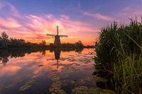 Sunrise Kinderdijk 8