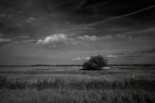 Summer sky over Roegwold nature reserve with view of Slochteren