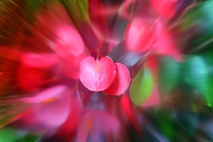 Hartexplosie van Edgar Schermaul