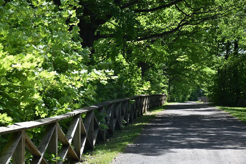 A park trail in summer by Claude Laprise