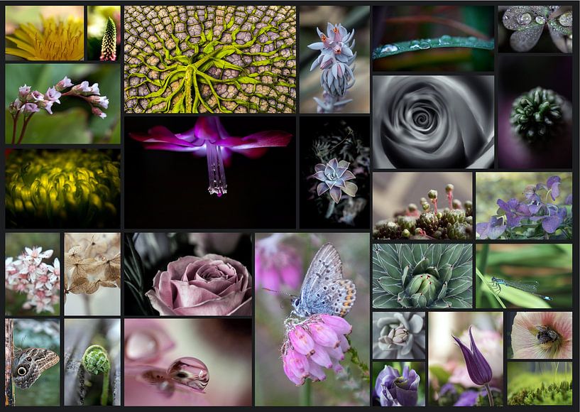 Collage von Blumen von Helga van de Kar
