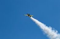 Sukhoi 29 by Raymond Engelen thumbnail