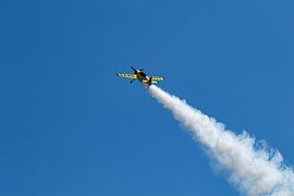 Suchoi 29 von Raymond Engelen