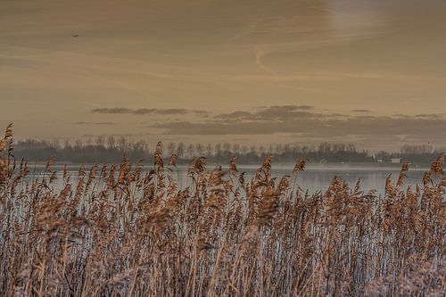 Beginn einer neuen Jahr