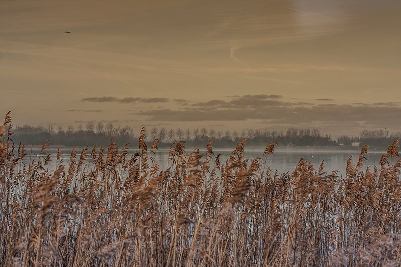 Start of a New Year by Mariette Alders