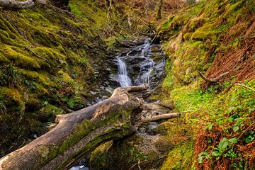 Running stream on the Isle of Skye in Scotland by gaps photography