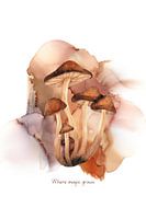 Digital Print of Mushrooms in Watercolour - "Where Magic Grows"