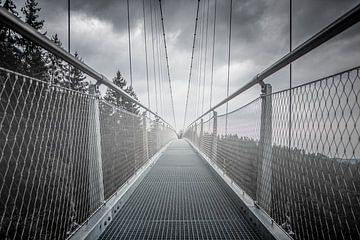 Brücke in nebliger schwarzer und weißer Landschaft von Jan Hermsen