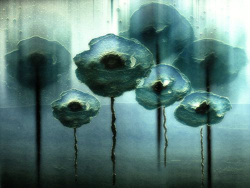 Ijs bloemen
