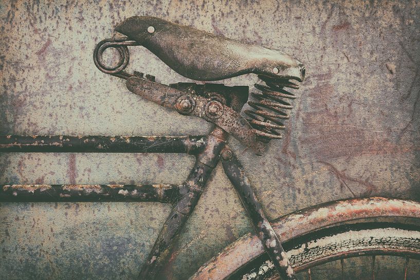 Das alte, verrostete Cargo-Bike. von Martin Bergsma