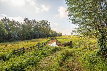 Typisch Nederlands polder landschap van Ruud Morijn