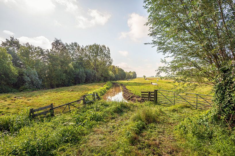 Typical Dutch polder landscape by Ruud Morijn