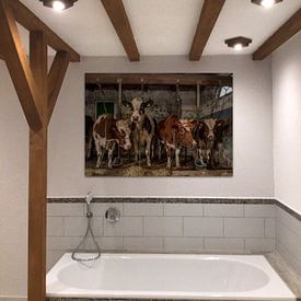 Klantfoto: Koeien in oude koeienstal van Inge Jansen, als artframe