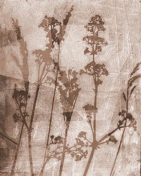 Sogni di fiori.  Retro Blumen, Pflanzen und Gräser in sepia braun von Dina Dankers