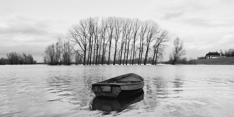 boot van Marina Nieuwenhuijs