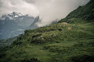 Noorwegen | Geirangerfjord van Sander Spreeuwenberg