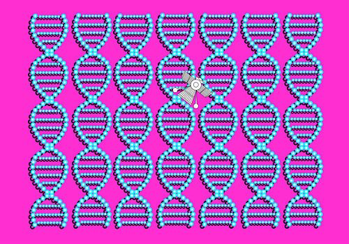 Anunnaki DNA Spacecraft rosa blau