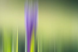 bandes de couleur