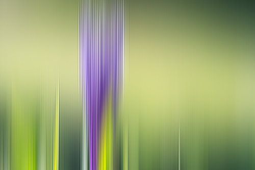 Colour strips