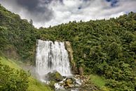 Nieuw-Zeeland: Majestueuze Waterval van Thijs Schouten thumbnail
