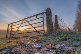 Hekwerk by Moetwil en van Dijk - Fotografie