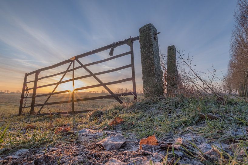 Hekwerk by Moetwil en van Dijk - Fotografie