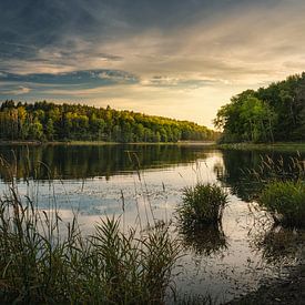 Lake Ellertshausen by Andre Michaelis