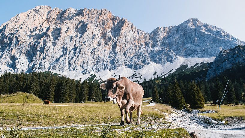 Uitzicht bergen (Alpen, Zugspitze Arena Tirol) van Rob van Dongen