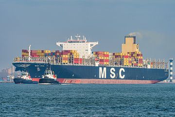 MSC Eva containerschip. van Jaap van den Berg