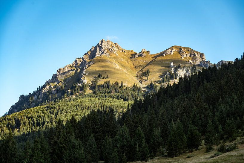 Aggenstein in autumn by Leo Schindzielorz