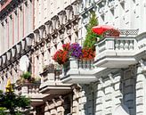 Berlin: Klassizistische Hausfassade  in Charlottenburg von Torsten Krüger Miniaturansicht