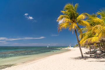 Dream beach Mauritius by Peter Schickert
